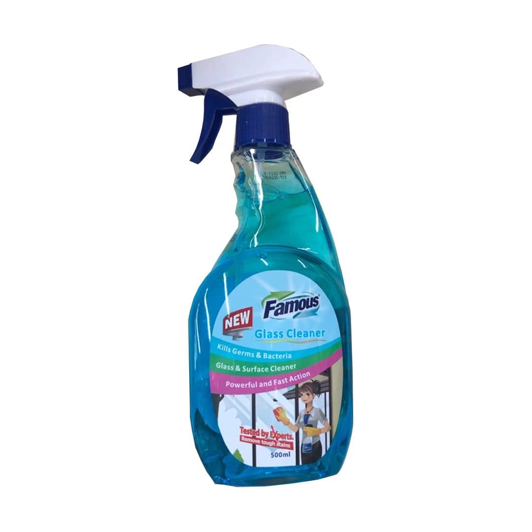 Famous Glass Cleaner 500ml