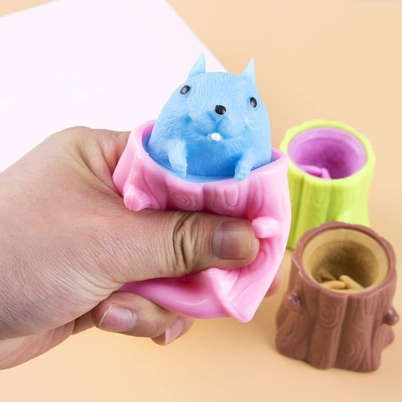 Pop Up Squirrel Squeeze Toy